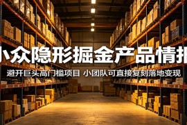 小众隐形掘金产品情报：避开巨头高门槛项目，小团队可直接复刻落地变现