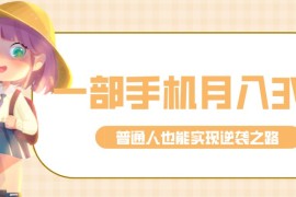 零成本零门槛普通人也能轻松赚钱的项目，仅靠一部手机，月入到手3w+！