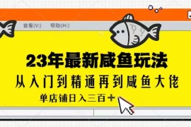 最新闲鱼实战课，从入门到精通再到闲鱼大佬，单号日入300+