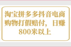 淘宝拼多多抖音电商购物打假赔付，日赚800米以上