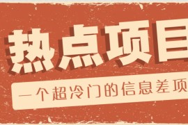 一个超冷门的信息差项目，出售各种协议模板，一个月收益竟高达20000+