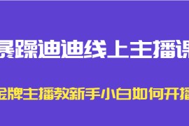  暴躁迪迪线上主播课，金牌主播教新手小白如何开播