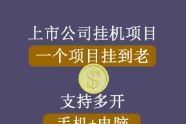 正规挂机项目，支持手机电脑一起挂，支持虚拟机多开，可以挂到老