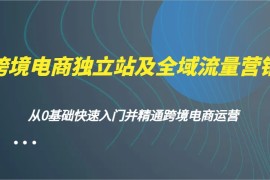 跨境电商独立站及全域流量营销，从0基础快速入门并精通跨境电商运营