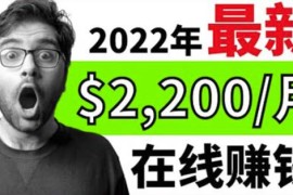 新版在线副业通过在线打字赚钱app轻松月赚900到2700美元
