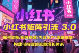 小红书矩阵引流3.0，账号准备/矩阵搭建/内容生产/流量投放/构建可持续的流量增长体系