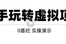 0基础虚拟项目实操演示，教你打造月入上万虚拟店铺！【视频教程】  
