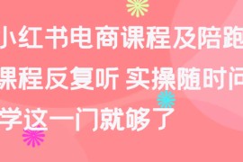 小红书电商课程及陪跑，课程反复听 实操随时问 学这一门就够了