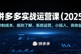 拼多多实战运营课（2025），控制成本、规则了解、系统运营，小投入，高收益！