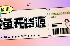咸鱼无货源经典玩法，教基础认知，选品和快速找货源
