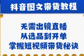 抖音图文带货实操：无需出镜直播，从选品到开单，掌握短视频带货秘诀