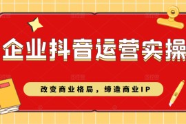 企业抖音短视频运营实操课，改变商业格局，缔造商业IP