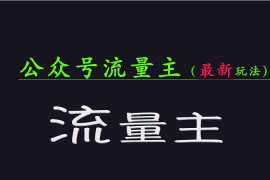 公众号流量全网最新玩法核心，系统讲解各种先进玩法和稳定收益的方法