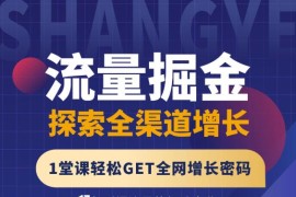 流量掘金探索全渠道增长，1堂课轻松GET全网增长密码
