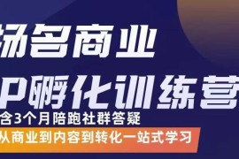 商业IP孵化训练营，从商业到内容到转化一站式学 价值5980元