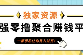 【首码】最强0撸聚合赚钱平台（独家资源）,单日单机100+，代理对接，扶持置顶