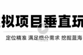 虚拟项目垂直细分类目玩法，新手快速起店，轻松月入上万！【视频教程】