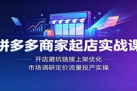 拼多多商家起店实战课：开店避坑链接上架优化，市场调研定价流量投产实操