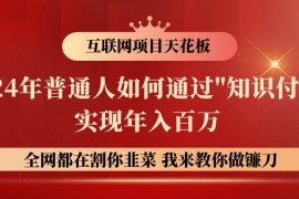 2024年普通人如何通过知识付费月入十万年入百万，实现财富自由