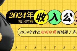 2024年知识付费收入大公开！2024年我在知识付费领域賺了多少钱？