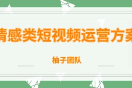 柚子团队内部课程：情感类短视频赚钱攻略，运营逻辑及变现方式