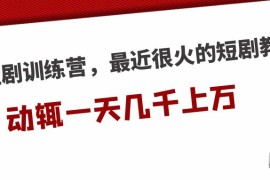短剧训练营，最近很火的短剧教程，动辄一天几千上万的收入