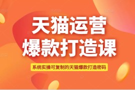 可复制的天猫运营爆款打造课，系统实操可复制的天猫爆款打造密码