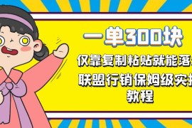 一单轻松300元，仅靠复制粘贴，每天操作一个小时，联盟行销保姆级出单教程。