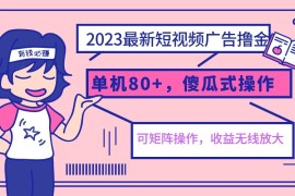 2023最新玩法短视频广告撸金，单机收益80+，可矩阵，傻瓜式操作，小白可上手