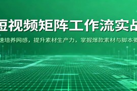 短视频矩阵工作流实战：快速培养网感，提升素材生产力，掌握爆款素材与脚本要点