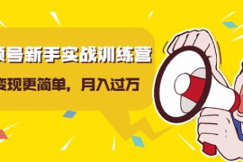 龟课视频号新手实战训练营，让变现更简单，玩赚视频号，轻松月入过万