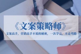 《文案策略师》文案高手，营销高手不说的秘密，一次学完，不走弯路