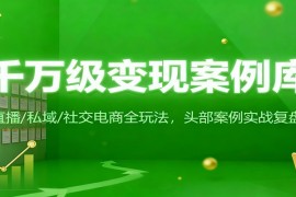 千万级变现案例库：直播/私域/社交电商全玩法，200+头部案例实战复盘
