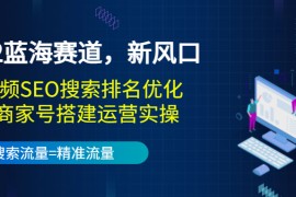 蓝海赛道，新风口：短视频SEO搜索排名优化+企业商家号搭建运营实操