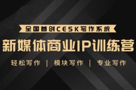 升职计·新媒体商业IP训练营