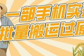 【首发】一部手机就能实现批量搬运过原创，分分钟上热门不被检测