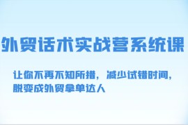 外贸话术实战营系统课-让你不再不知所措，减少试错时间，脱变成外贸拿单达人