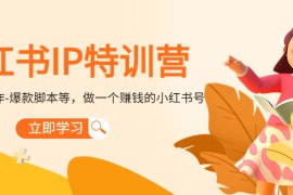 小红书IP特训营：从搭建-制作-爆款脚本等等，做一个赚钱的小红书号