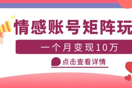云天情感账号矩阵项目，简单操作，月入10万+可放大（教程+素材）