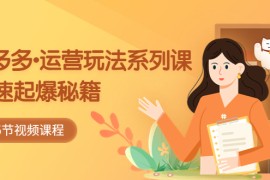 拼多多-运营玩法系列课：快速起爆秘籍（5节视频课）