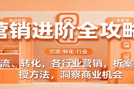 营销进阶全攻略，引流、转化，各行业营销，析案例，授方法，洞察商业机会
