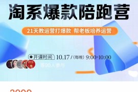 108将淘系爆款陪跑营【第九期】，从0开始，手把手教你链接起飞，爆款不断，价值2999元 