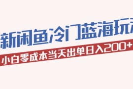 最新闲鱼冷门蓝海玩法，小白零成本当天出单日入200+