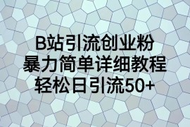 B站引流创业粉，暴力简单详细教程，轻松日引流50+