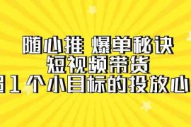 随心推爆单秘诀，短视频带货-超1个小目标的投放心得（7节视频课）