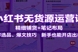 小红书无货源运营课：精细铺货+笔记布局，学选品、爆文技巧，新手也能开店出单