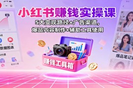 小红书赚钱实操课：5大变现路径+广告渠道，爆品内容制作+辅助工具使用