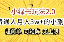 小绿书玩法2.0，超简单，普通人月入3w+的小副业，可批量放大