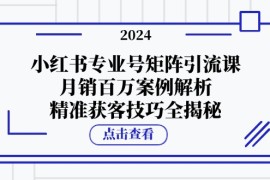 小红书专业号矩阵引流课，月销百万案例解析，精准获客技巧全揭秘