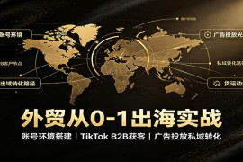 外贸从0-1出海实战：账号环境搭建，TikTok B2B获客，广告投放私域转化